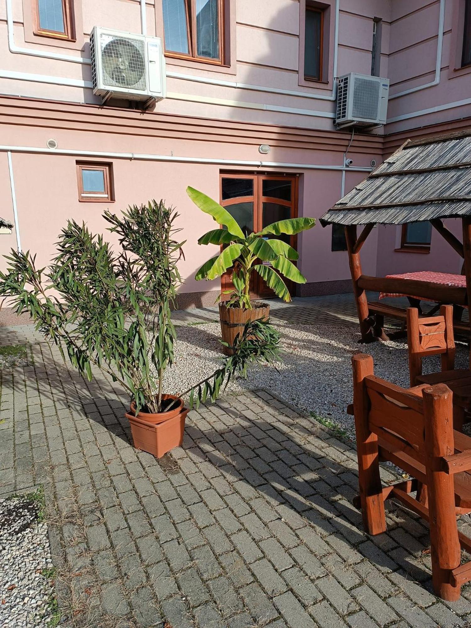 Malom Panzio Bed & Breakfast Kiskunfélegyháza Eksteriør bilde